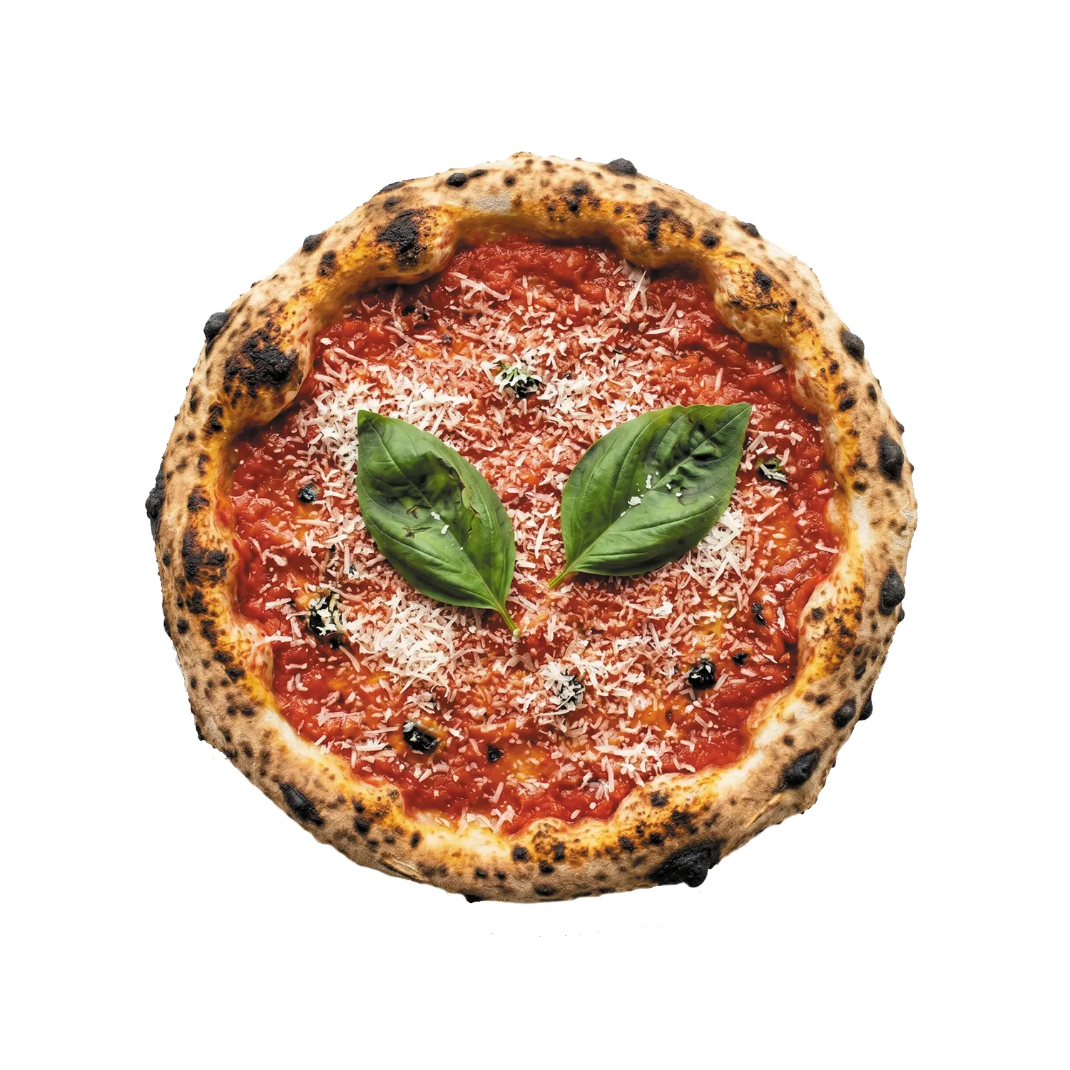 Samsun Marinara Pizza