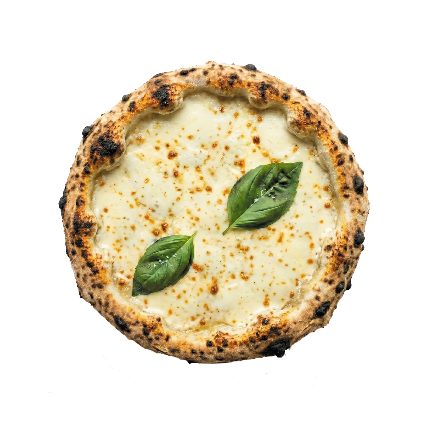 Samsun Sarımsak Kremalı Pizza
